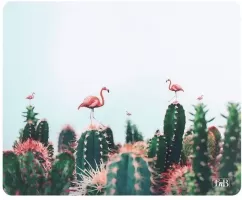Photo de Tapis de souris T'nB Exclusiv Cactus (Motif dédié)