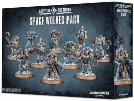 Photo de Warhammer 40k - Space Wolves Chasseurs Gris