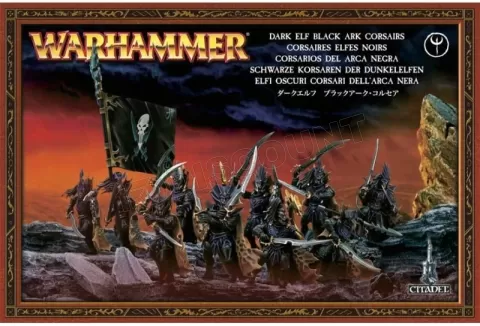 Warhammer Fantasy Battle Elfes Noirs Corsaire Métal N°2