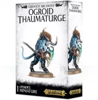 Photo de Warhammer AoS & 40k - Tzeentch Arcanites Ogroid Thaumaturge