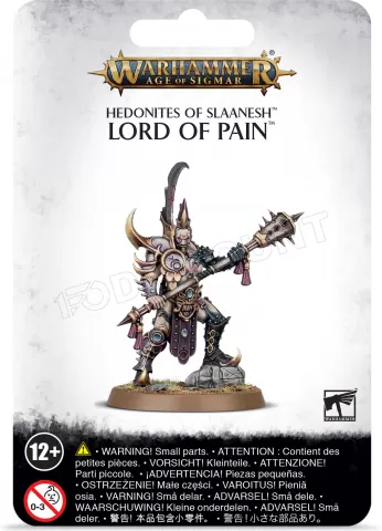 Photo de Warhammer AoS - Hedonites of Slaanesh Lord of Pain