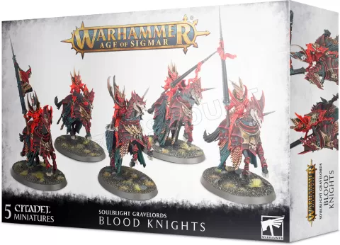 Photo de Warhammer AoS - Soulblight Gravelords Blood Knights
