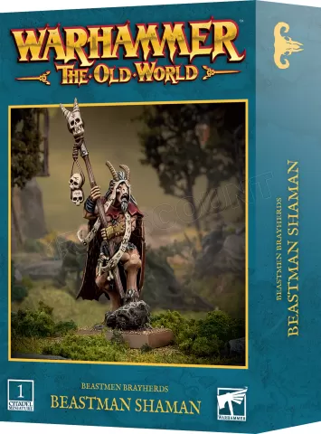 Photo de Warhammer ToW - Hommes Betes Chamane