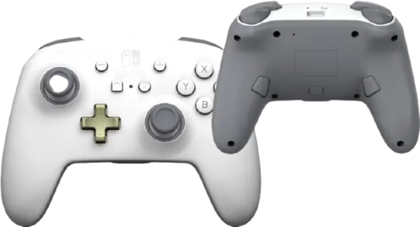 Pourquoi pas démarrer une nouvelle collection de manette?