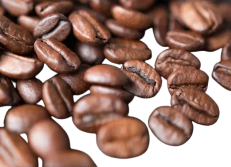 Préparez tous vos cafés préférés !