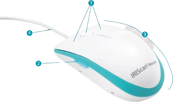Une souris aux nombreux avantages
