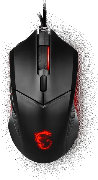Une souris qui résiste au temps